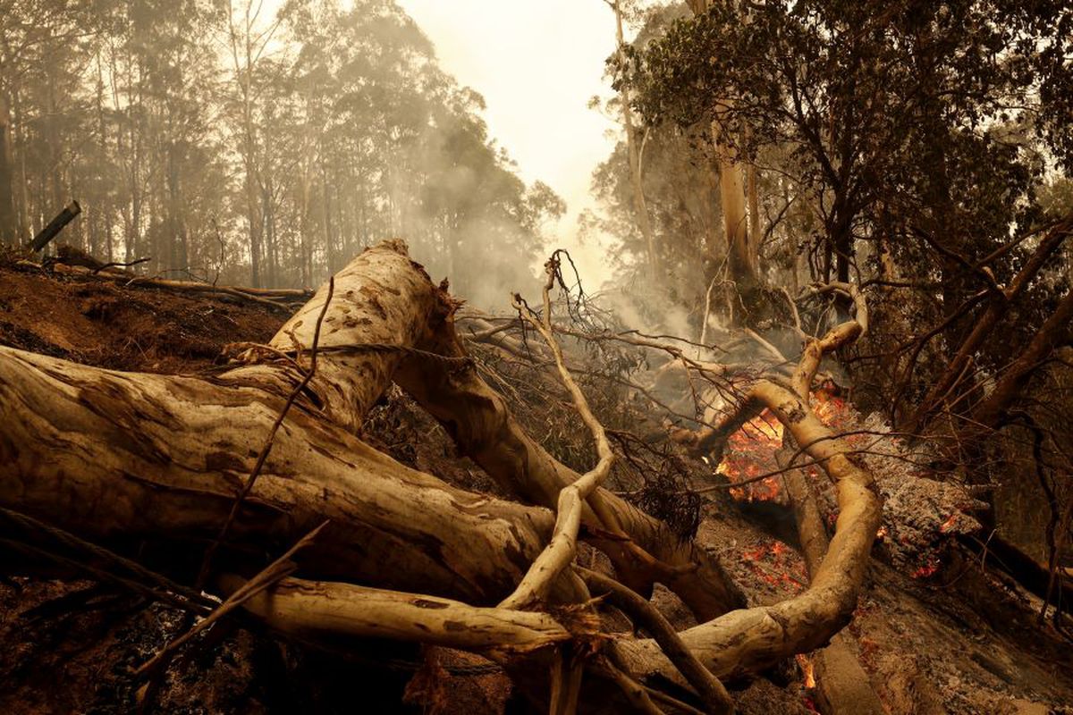 SIMONA HALEP. A început decontul! Cât donează Simona Halep după meciul de azi: „L-am enervat de atâtea ori” + Răspunsul lui Darren Cahill