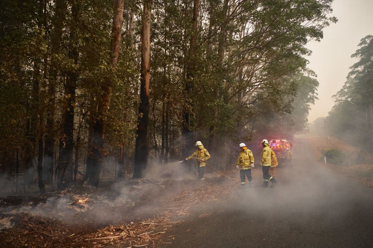 SIMONA HALEP. A început decontul! Cât donează Simona Halep după meciul de azi: „L-am enervat de atâtea ori” + Răspunsul lui Darren Cahill