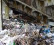 Sub tribune e un adevărat focar de infecție, munți de deșeuri adunați în timp