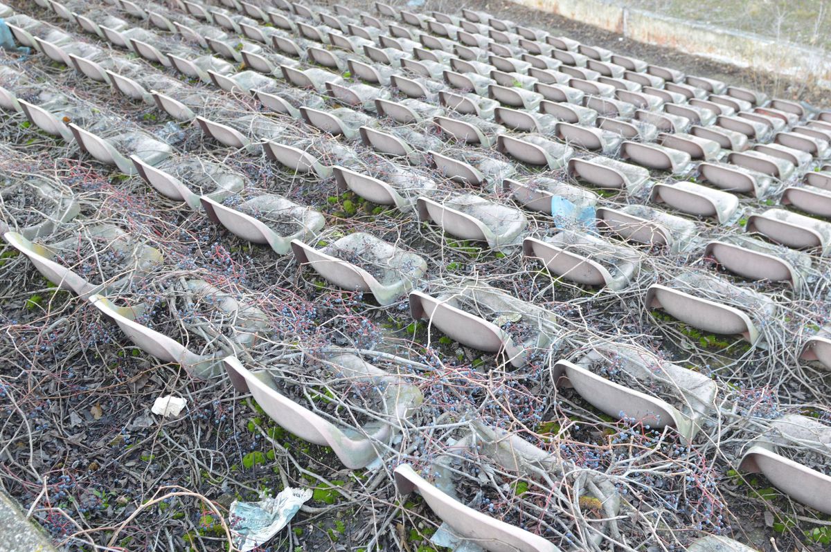 20.800 de locuri, 120 milioane €, centru SPA » Ar urma să devină al doilea cel mai scump stadion din istoria României, însă proiectul naște suspiciuni