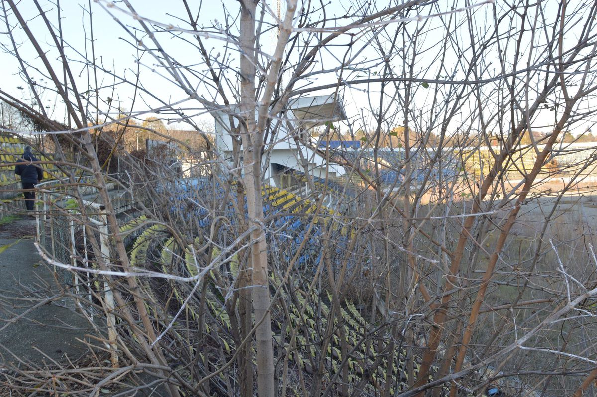 EXCLUSIV „Municipalul” din Bacău, „arena groazei”! Imagini cu stadiul dezastruos în care se află acum stadionul care obișnuia să adune 20.000 de spectatori