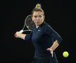 Simona Halep - Viktorija Golubic 6-2, 5-7, 6-4