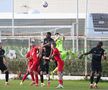 Imagini de la amicalul Hermannstadt - Alemannia Aachen 3-0 FOTO: Ionuţ Iordache (GSP)