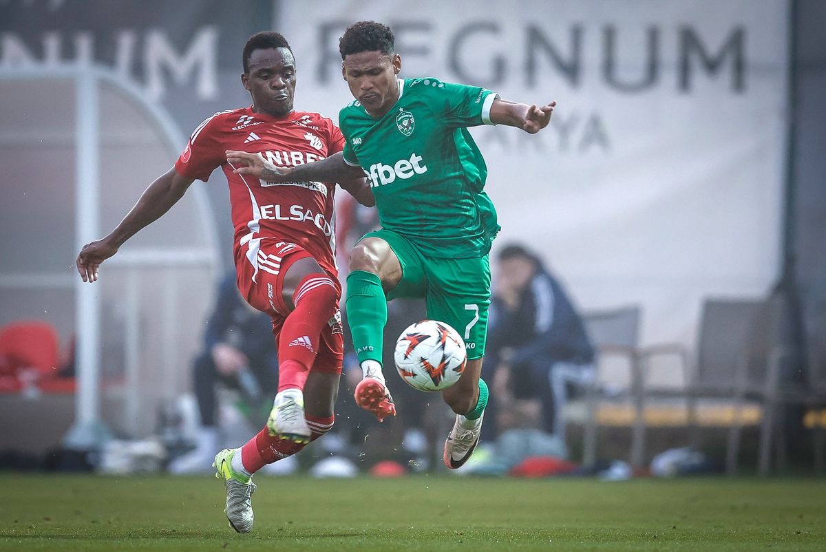 FC Botoșani a remizat, 1-1 cu Ludogorets