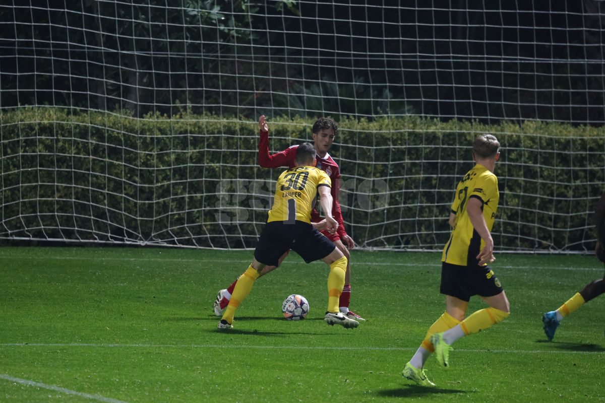 Amical Sepsi - Young Boys