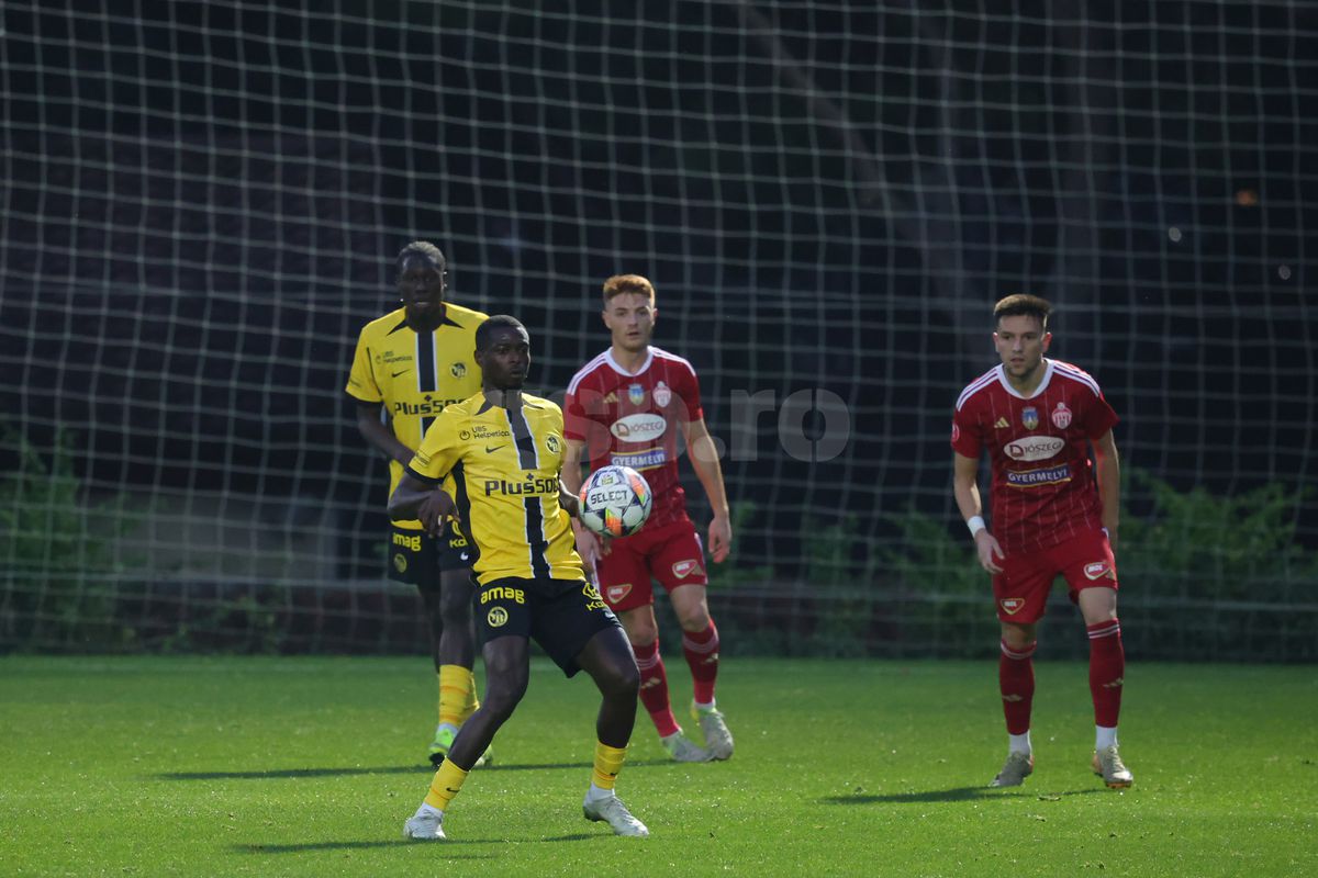 Amical Sepsi - Young Boys