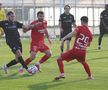 Imagini de la amicalul Hermannstadt - Alemannia Aachen 3-0 FOTO: Ionuţ Iordache (GSP)