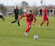 Imagini de la amicalul Hermannstadt - Alemannia Aachen 3-0 FOTO: Ionuţ Iordache (GSP)