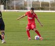 Imagini de la amicalul Hermannstadt - Alemannia Aachen 3-0 FOTO: Ionuţ Iordache (GSP)