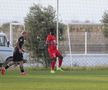 Imagini de la amicalul Hermannstadt - Alemannia Aachen 3-0 FOTO: Ionuţ Iordache (GSP)