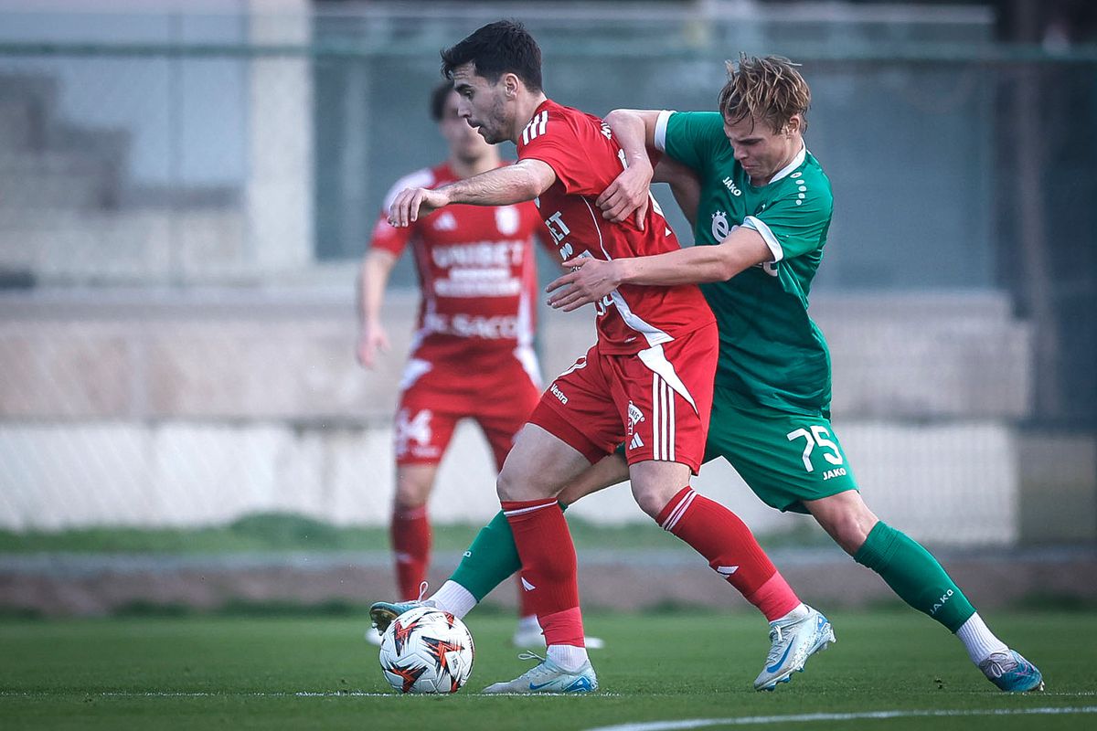 FC Botoșani a remizat, 1-1 cu Ludogorets