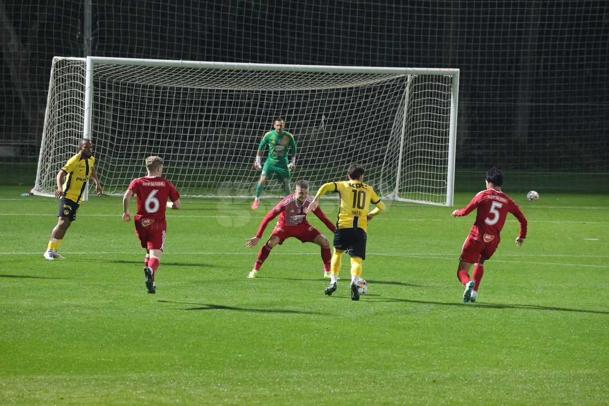 Amical Sepsi - Young Boys