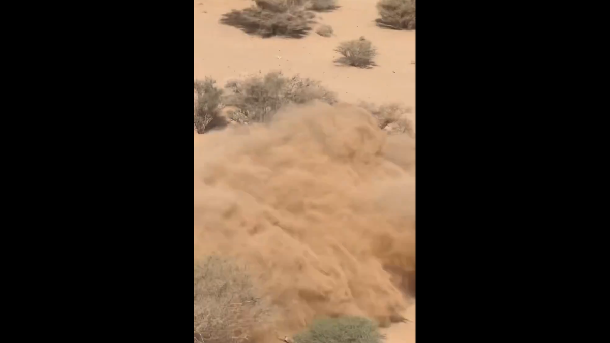 A făcut Dacia praf » Sebastian Loeb s-a răsturnat în Raliul Dakar cu mașina producătorului din România