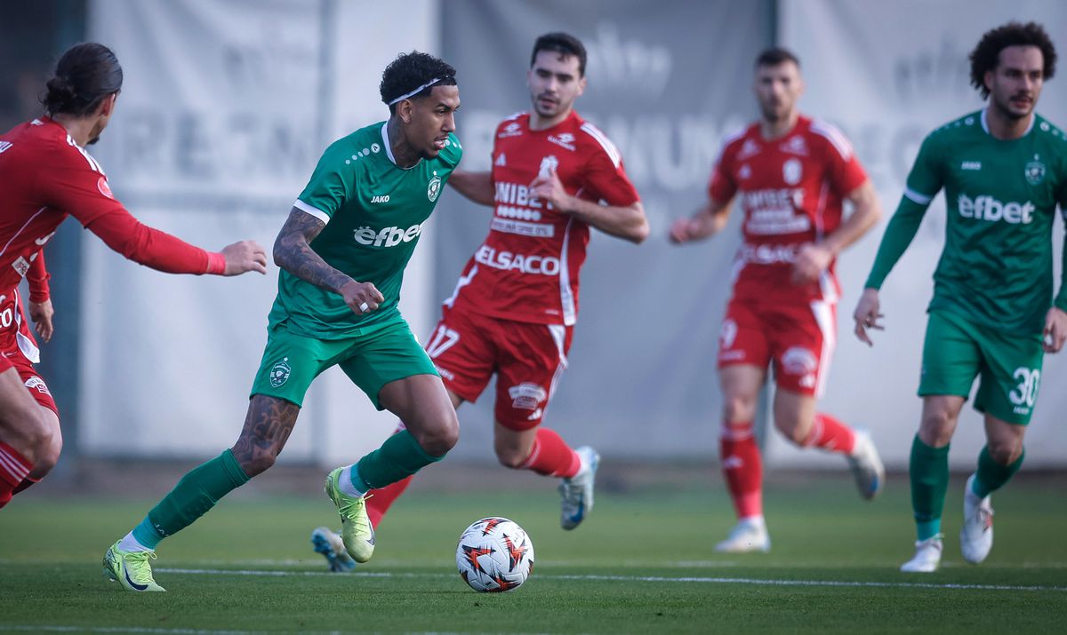 FC Botoșani a remizat, 1-1 cu Ludogorets