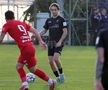 Imagini de la amicalul Hermannstadt - Alemannia Aachen 3-0 FOTO: Ionuţ Iordache (GSP)