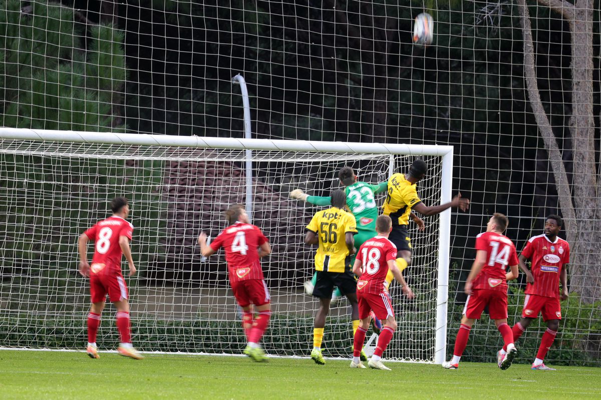 Amical Sepsi - Young Boys