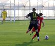 Imagini de la amicalul Hermannstadt - Alemannia Aachen 3-0 FOTO: Ionuţ Iordache (GSP)