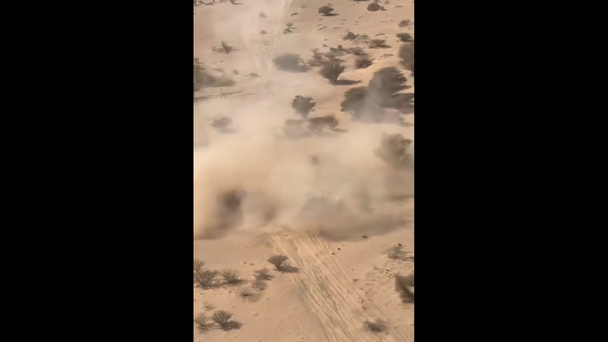 A făcut Dacia praf » Sebastian Loeb s-a răsturnat în Raliul Dakar cu mașina producătorului din România