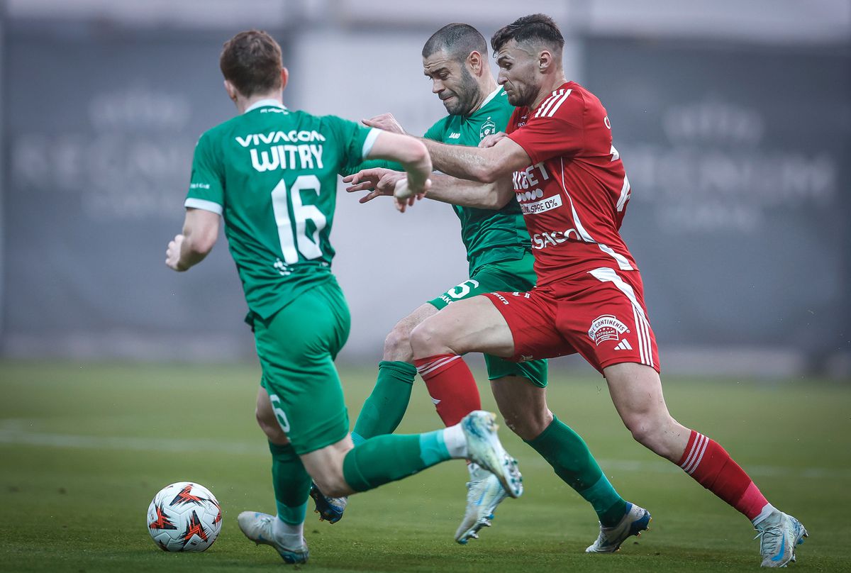 FC Botoșani a remizat, 1-1 cu Ludogorets