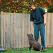 Radu Drăgușin a deschis ușile casei sale / foto: YouTube Tottenham Hotspur