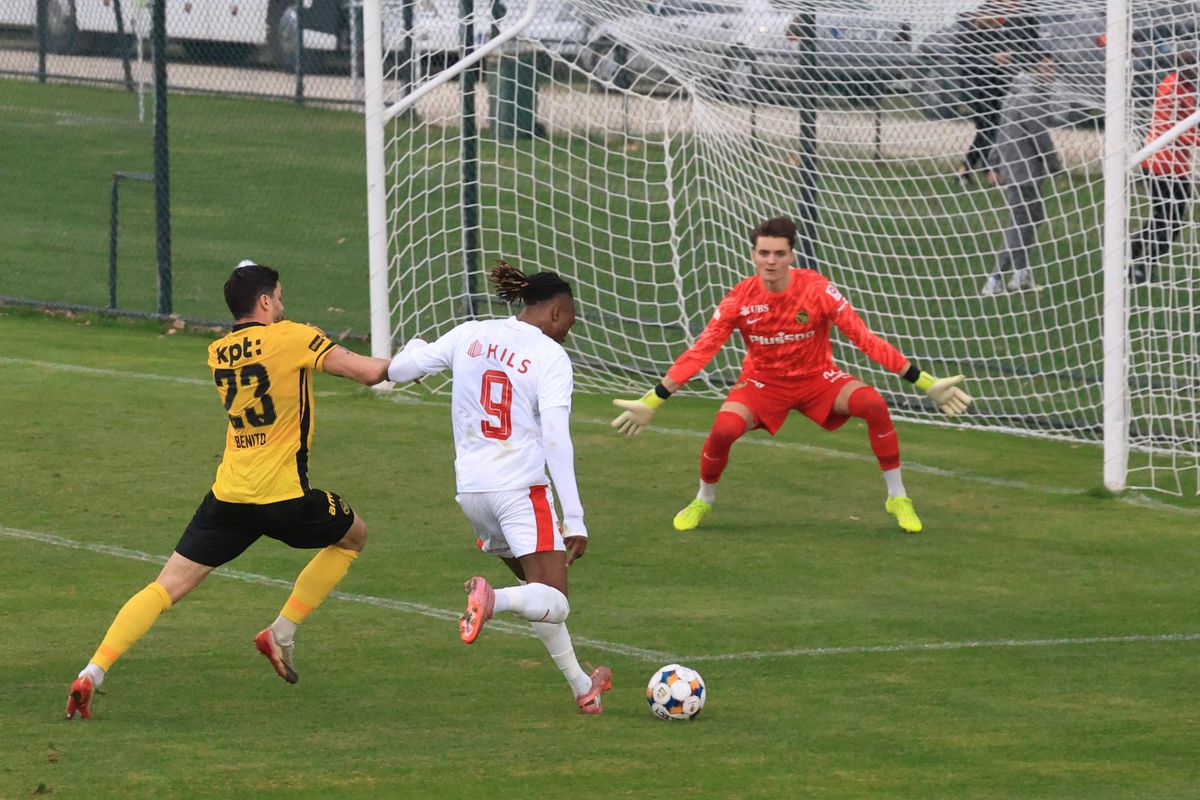 Dinamo - Young Boys, primul amical al „câinilor” în Antalya