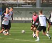 Imagini de la antrenamentul FCSB în Antalya FOTO: Ionuţ Iordache (GSP)