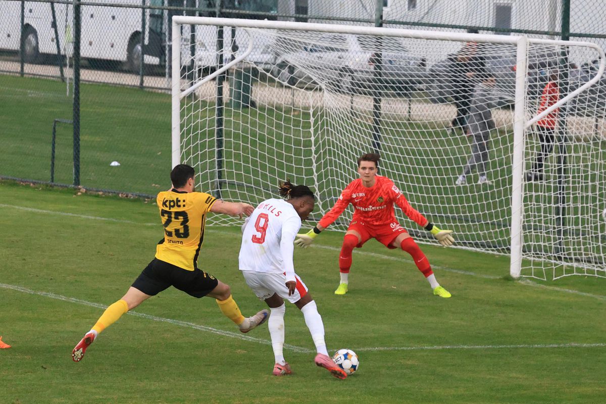 Dinamo - Young Boys, primul amical al „câinilor” în Antalya