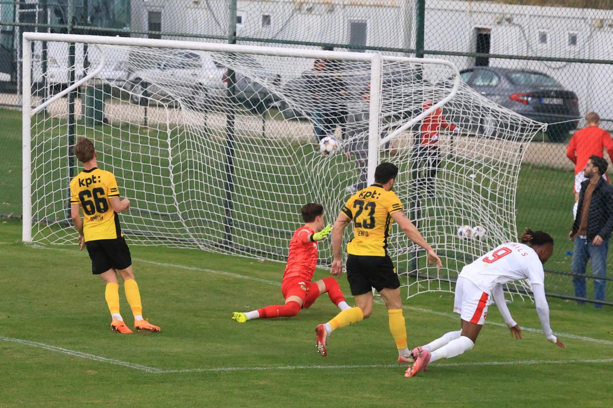 Dinamo - Young Boys, primul amical al „câinilor” în Antalya