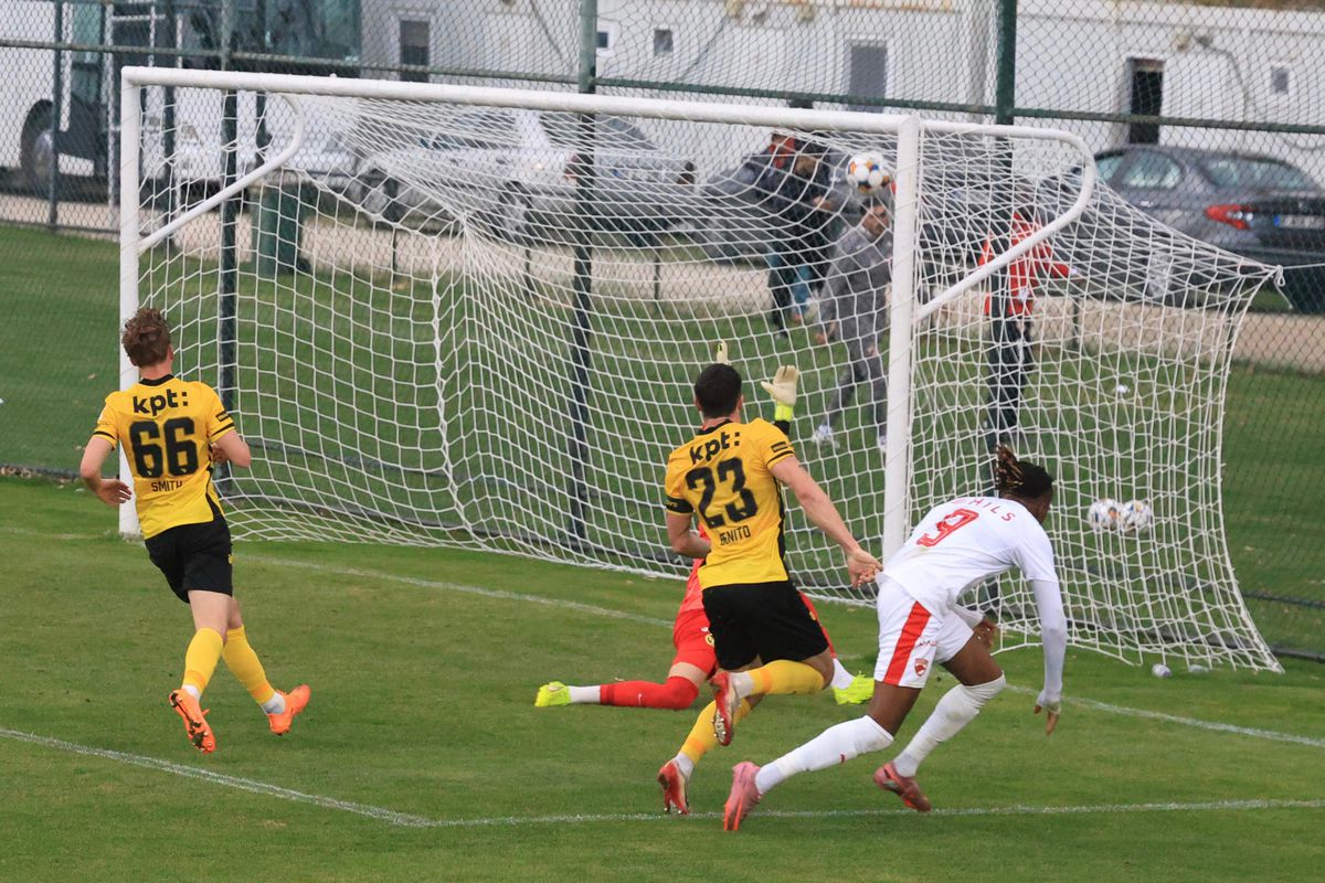 Dinamo - Young Boys, primul amical al „câinilor” în Antalya