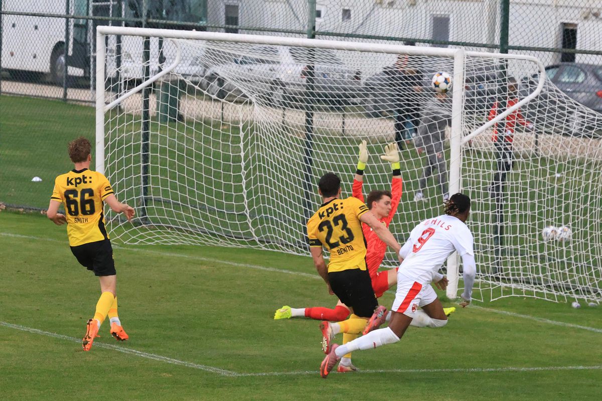 Dinamo - Young Boys, primul amical al „câinilor” în Antalya