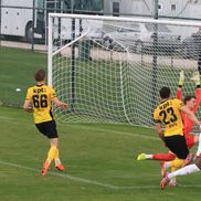 Dinamo - Young Boys, primul amical al „câinilor” în Antalya // FOTO: Ionuț Iordache (GSP)