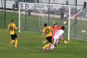 7 detalii de la amicalul lui Dinamo cu Young Boys: prezențe surpriză și experimentul lui Zeljko Kopic » De ce și-au modificat „câinii” echipamentul