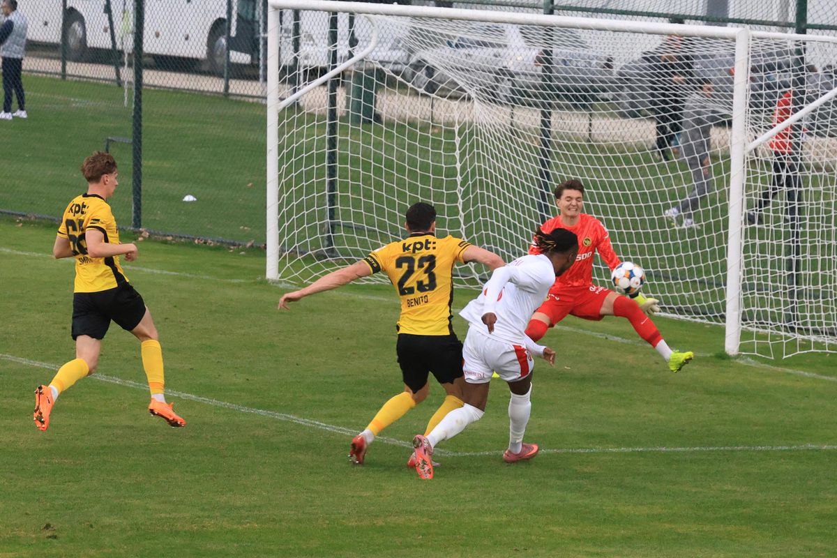 Dinamo - Young Boys, primul amical al „câinilor” în Antalya