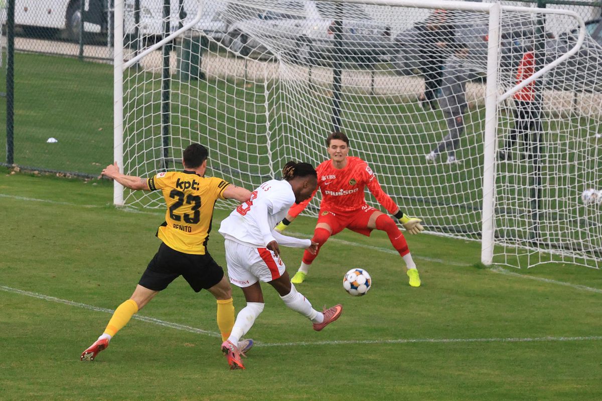 Vin transferurile la Dinamo? Anunțul lui Zeljko Kopic, după amicalul cu Young Boys: „Suntem în tratative”