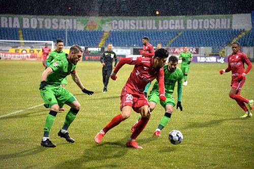 FC Botoșani - Dinamo (foto: Ionuț Tabultoc)