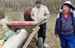 VIDEO Ce s-a întâmplat cu morunul de 140 de kilograme prins în Dunăre » Dosar penal pentru cei doi braconieri