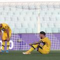 Parma a remizat cu Fiorentina, scor 3-3 // foto: Guliver/gettyimages