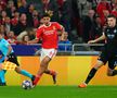 Benfica - FC Bruges, în „optimile” Ligii Campionilor
Foto: Getty Images