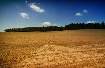 Cum verifici că un motor de motocultor este pregătit pentru pornirea în siguranță?