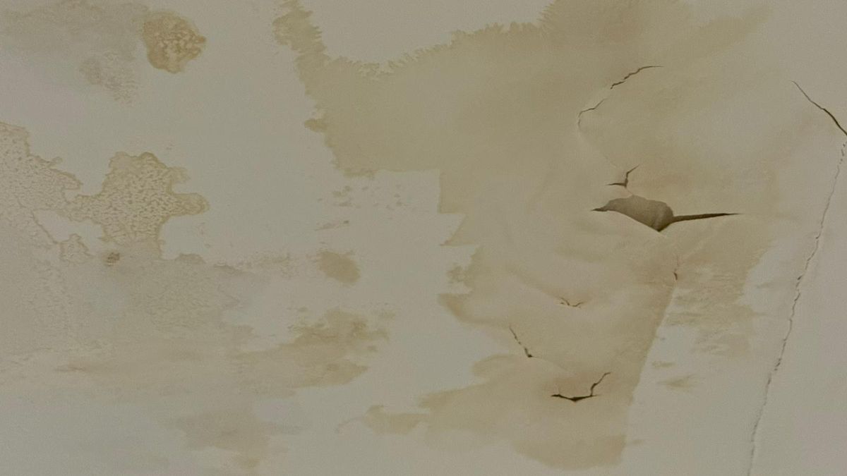 Urmările infiltrațiilor de la Arena Națională - 7 martie 2026