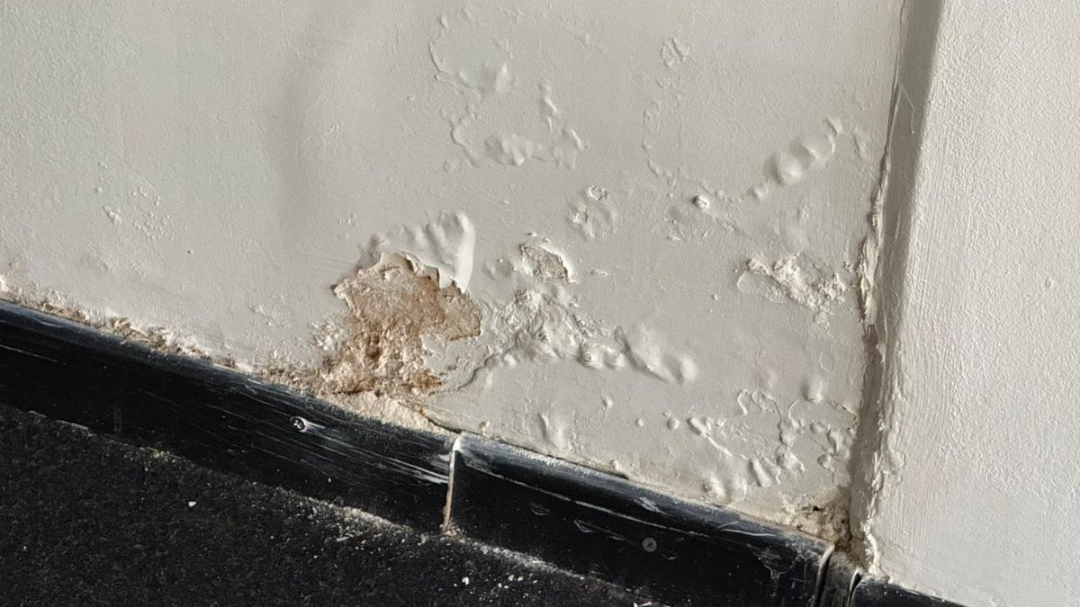 Urmările infiltrațiilor de la Arena Națională - 7 martie 2026