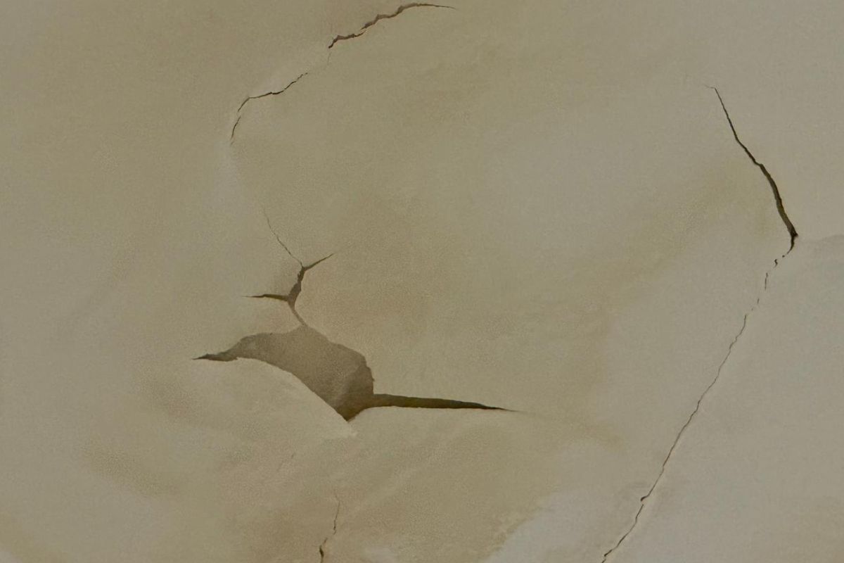 Dezastrul de la Arena Națională s-a accentuat după ninsorile recente: tavanul „a înflorit”