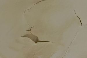 Dezastrul de la Arena Națională s-a accentuat după ninsorile recente: tavanul „a înflorit”