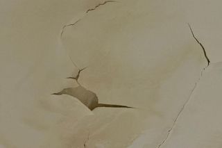 Dezastrul de la Arena Națională s-a accentuat după ninsorile recente: tavanul „a înflorit”