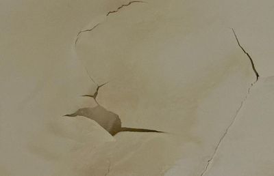 Dezastrul de la Arena Națională s-a accentuat după ninsorile recente: tavanul „a înflorit”