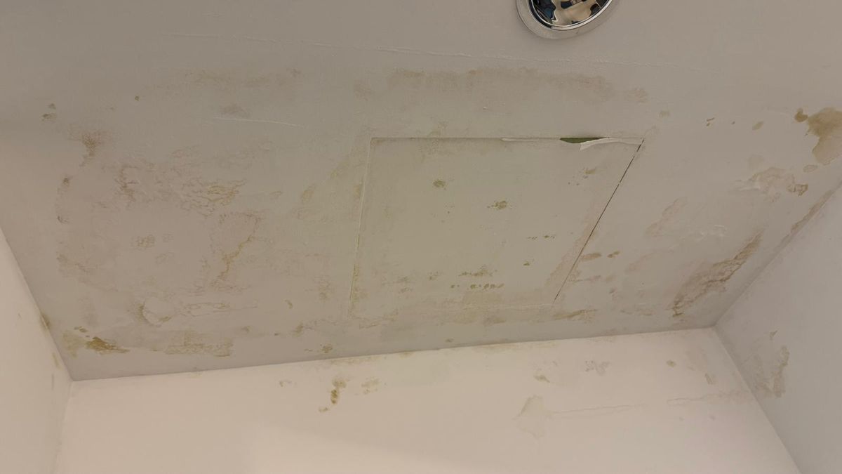 Urmările infiltrațiilor de la Arena Națională - 7 martie 2026