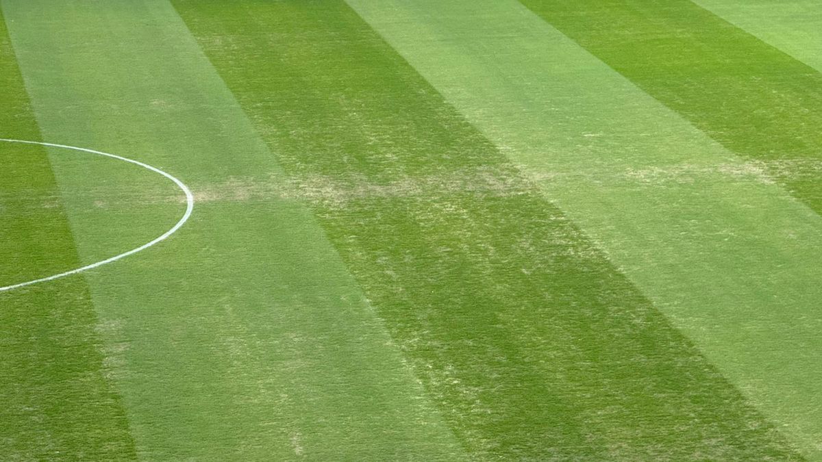 FCSB - U Cluj, imagini înaintea partidei din etapa 30