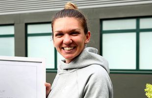 Simona Halep, afacere colosală » Ce româncă și-a permis să achite o avere pentru vila de lângă Herăstrău