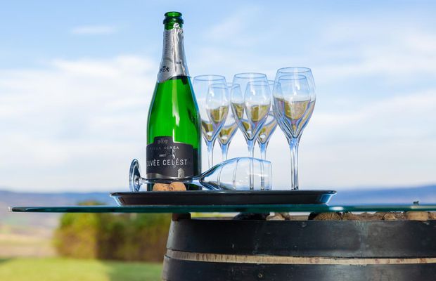 Recomandări de vinuri Villa Vinèa pentru masa de Paște