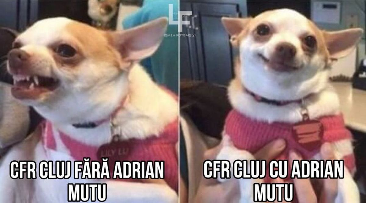 Meme-uri după Rapid - CFR Cluj 1-4